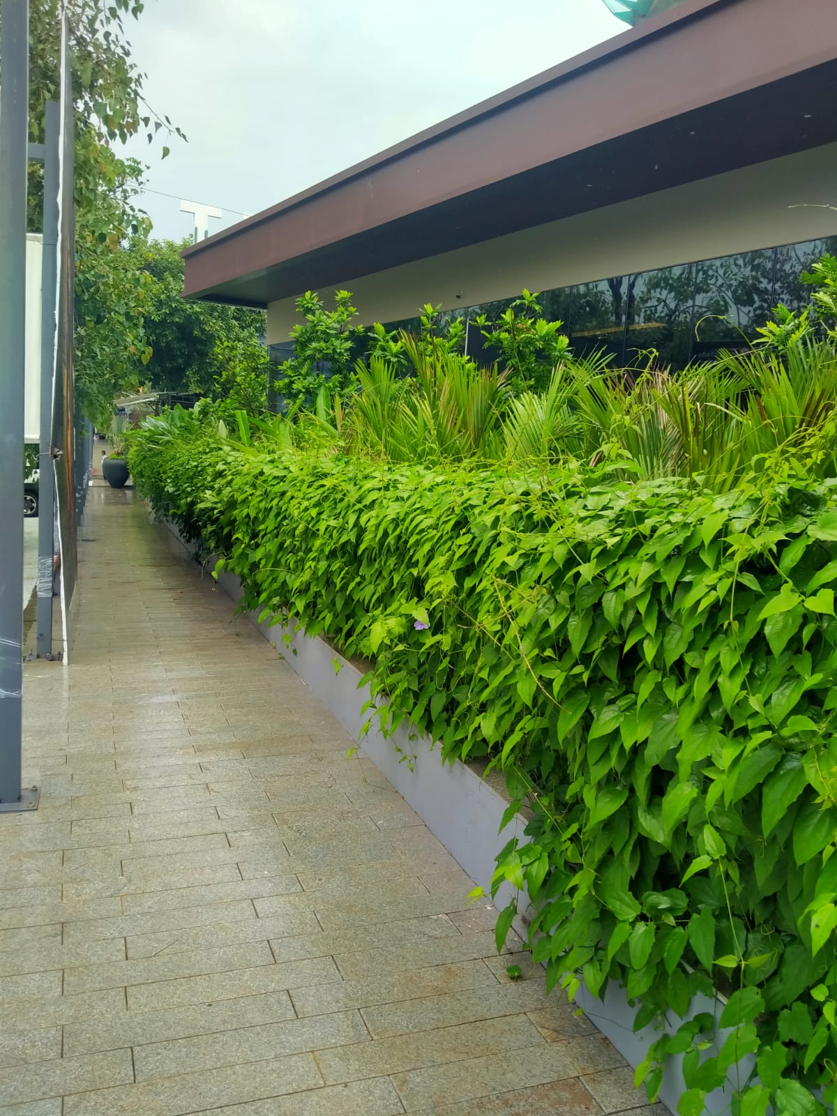 Premium landscape and garden development at Roswalt Raya residential project